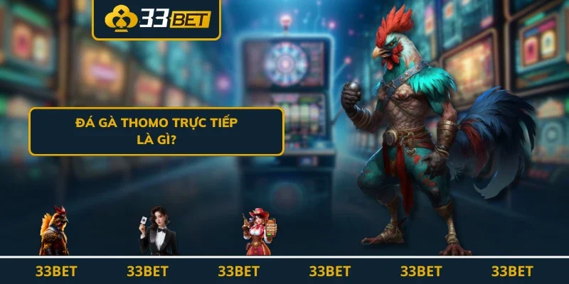 Đá Gà Thomo Trực Tiếp Và Những Lưu Ý Khi Đặt Cược Là Gì?